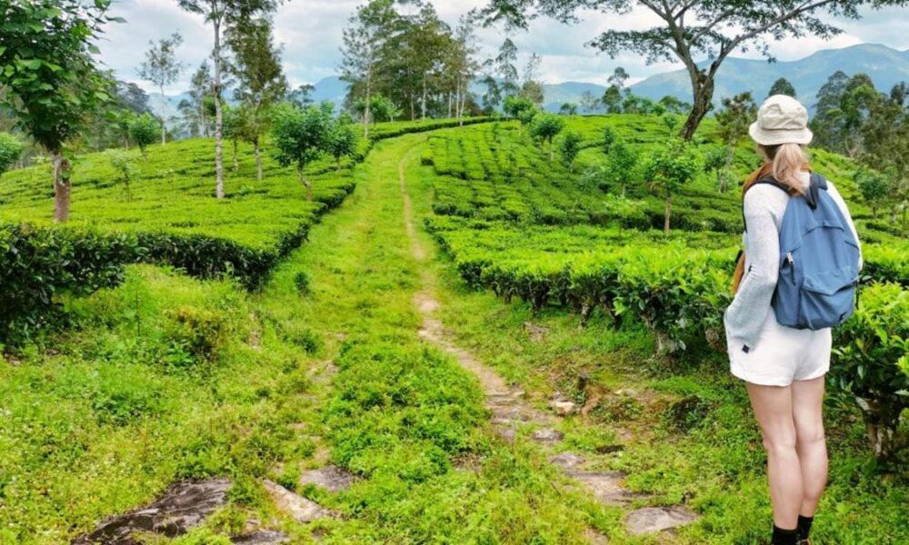 キャンディーTea Leaf Retreatアパートメント エクステリア 写真