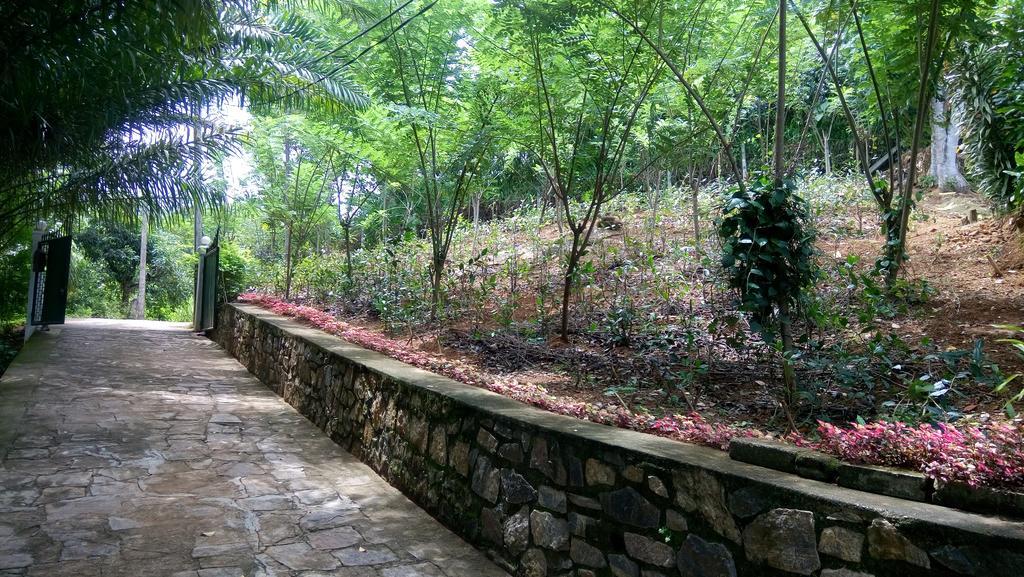 キャンディーTea Leaf Retreatアパートメント エクステリア 写真