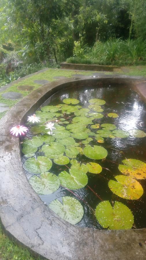 キャンディーTea Leaf Retreatアパートメント エクステリア 写真